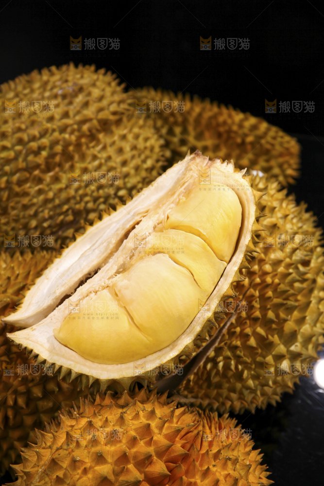 金枕榴莲