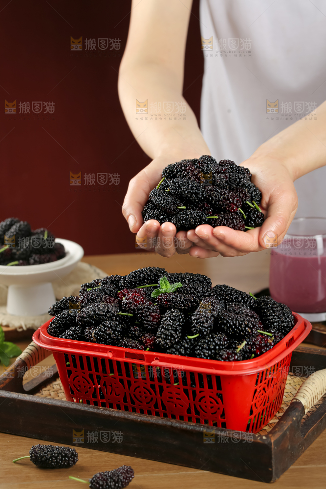 桑葚