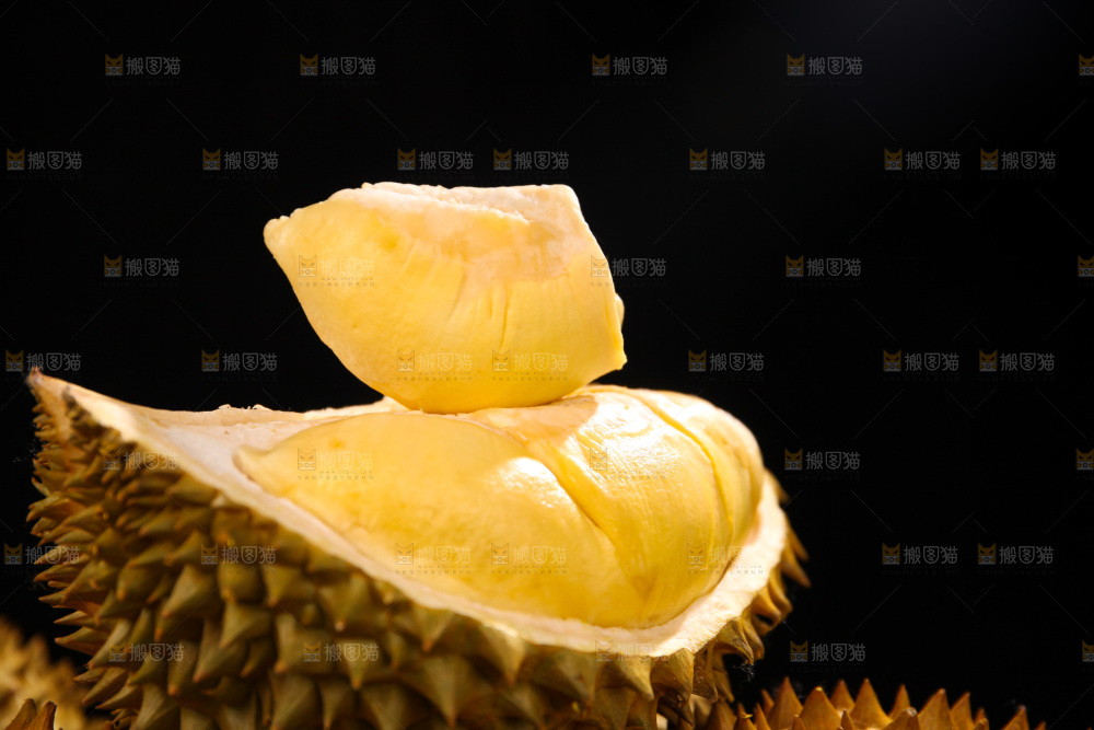 金枕榴莲