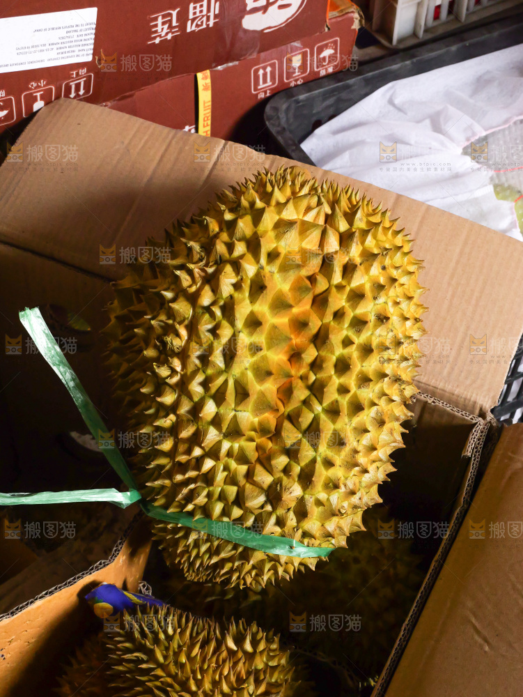 金枕榴莲