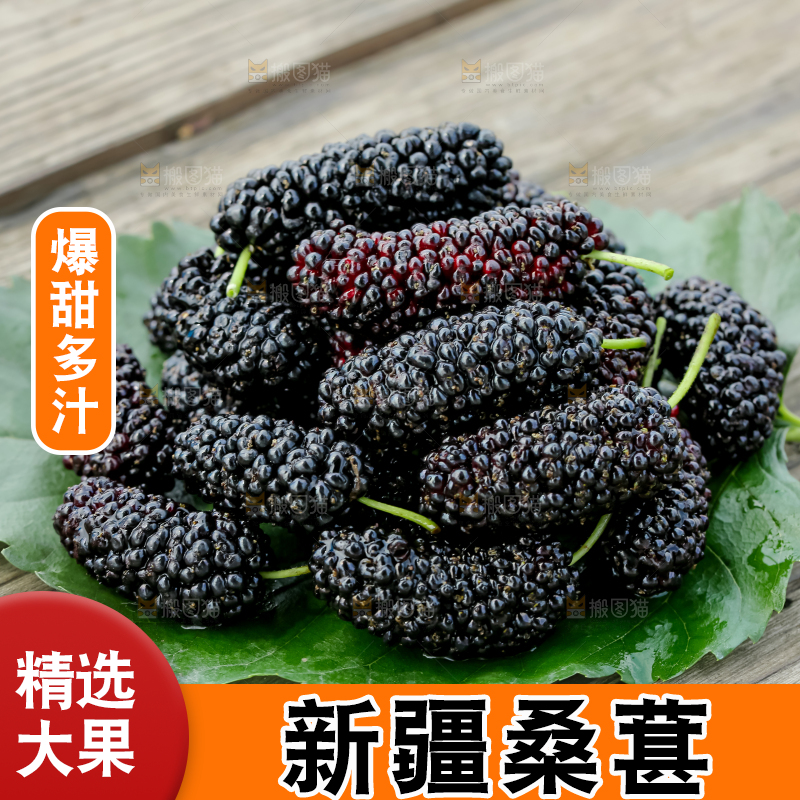 桑葚