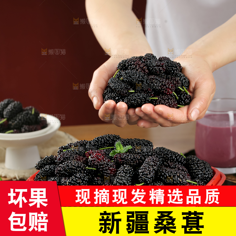 桑葚