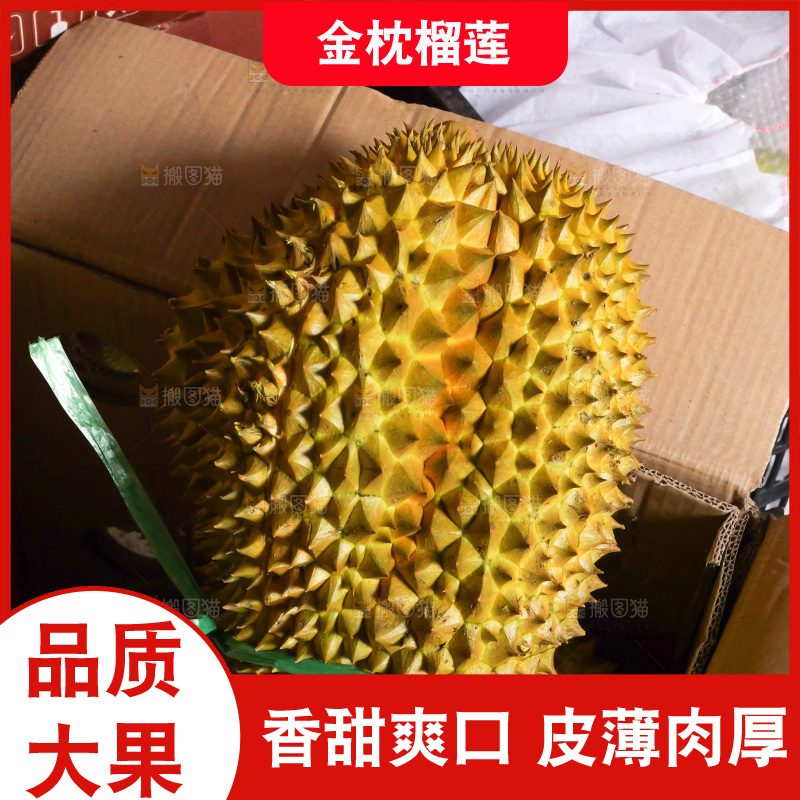 金枕榴莲