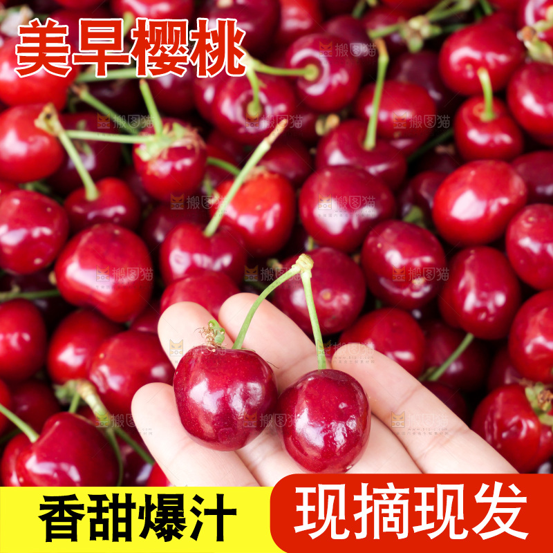 樱桃