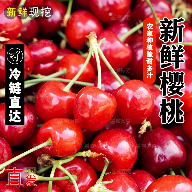 樱桃