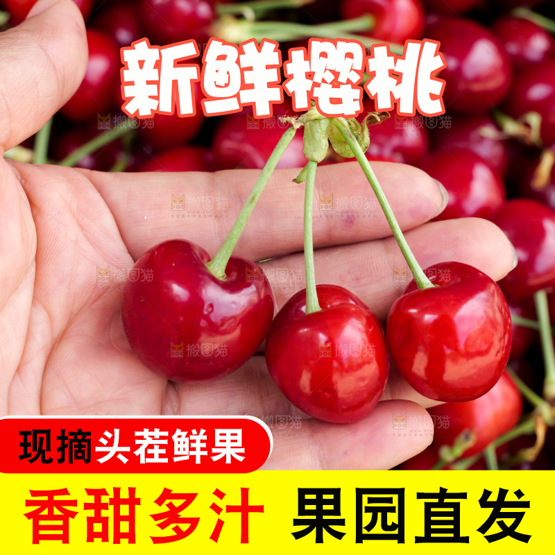 樱桃