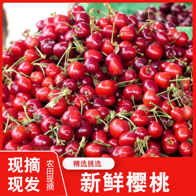 樱桃