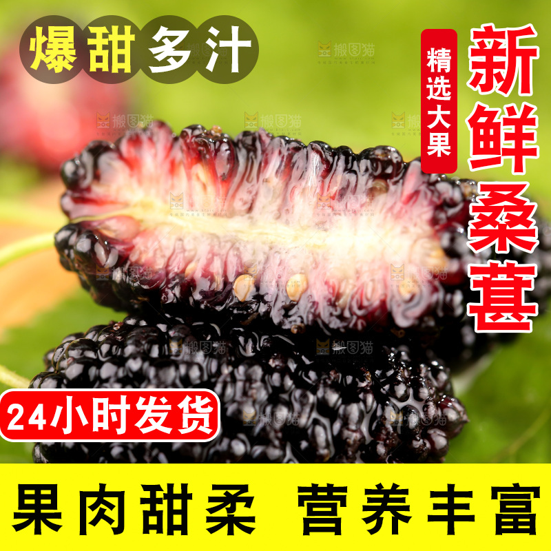 桑葚