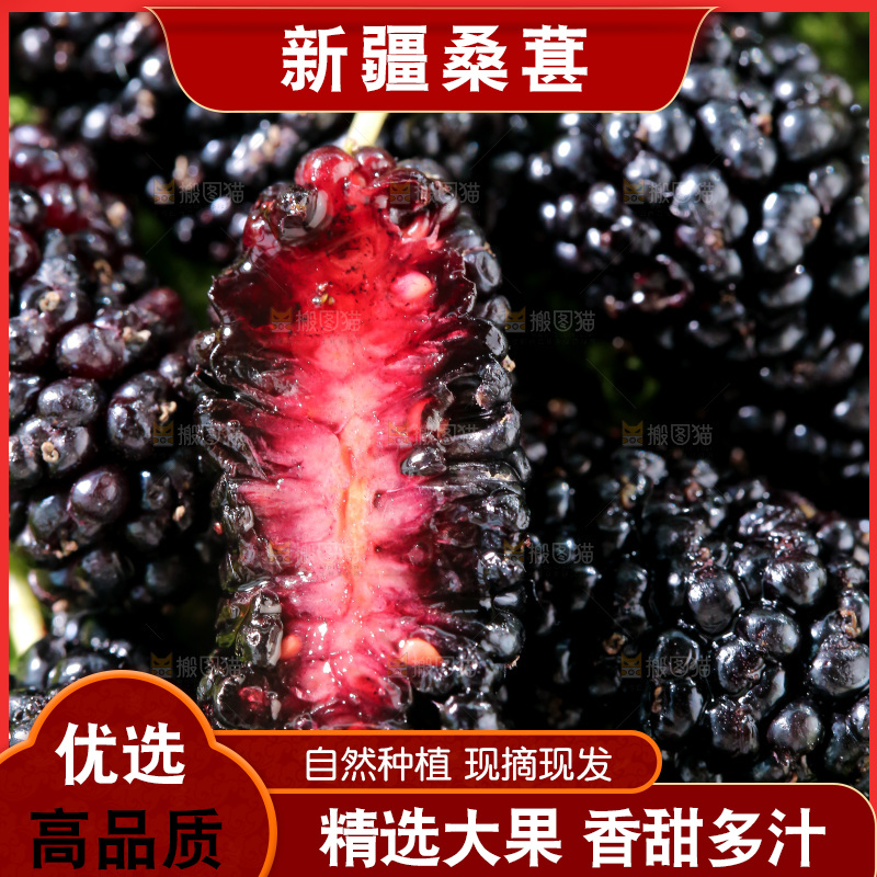 桑葚