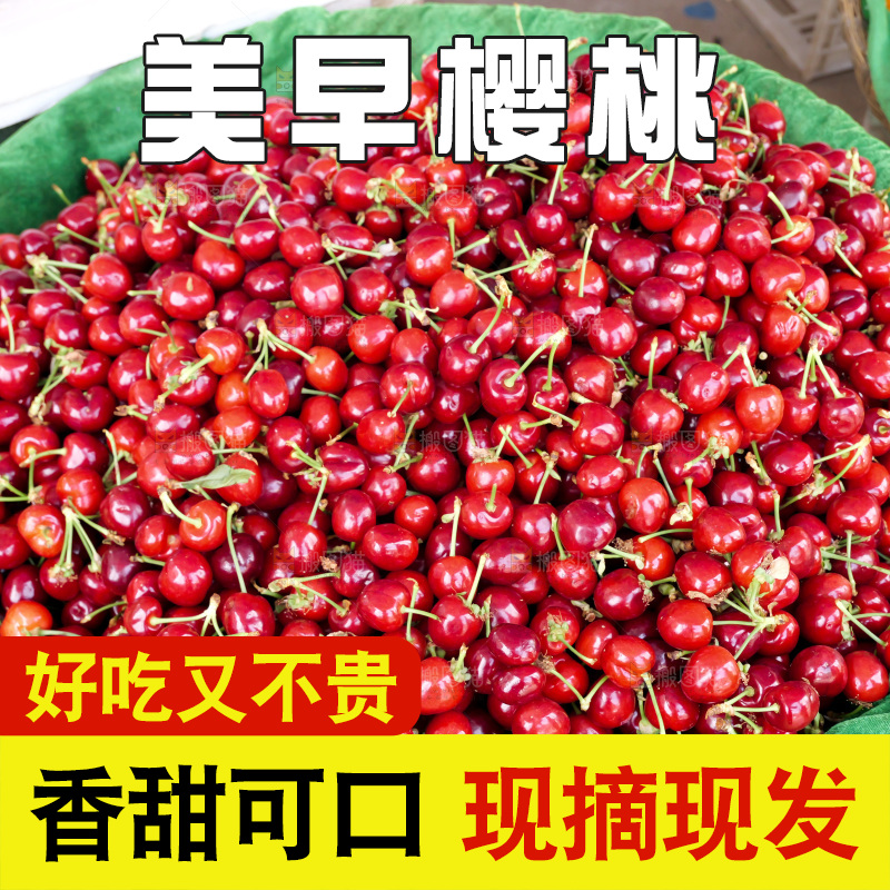 樱桃