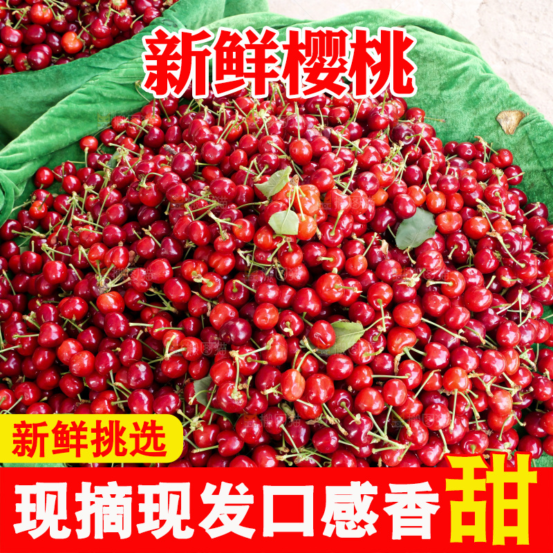 樱桃
