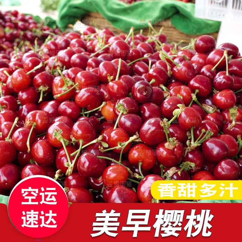 樱桃