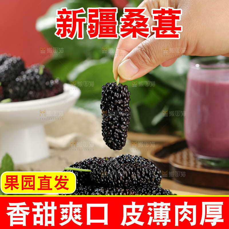 桑葚
