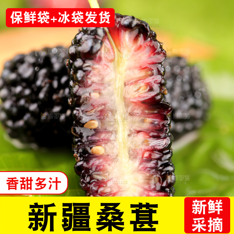 桑葚