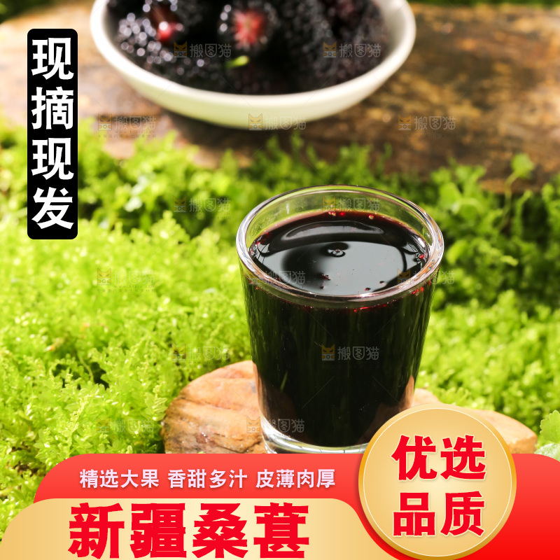 桑葚