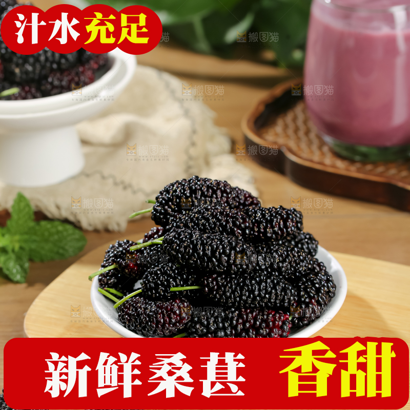 桑葚
