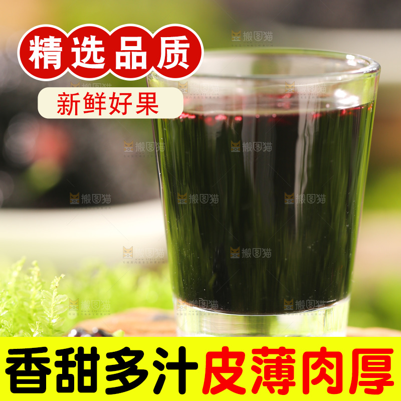 桑葚