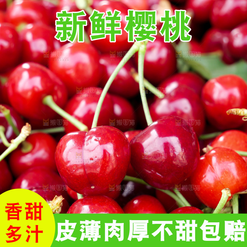 樱桃