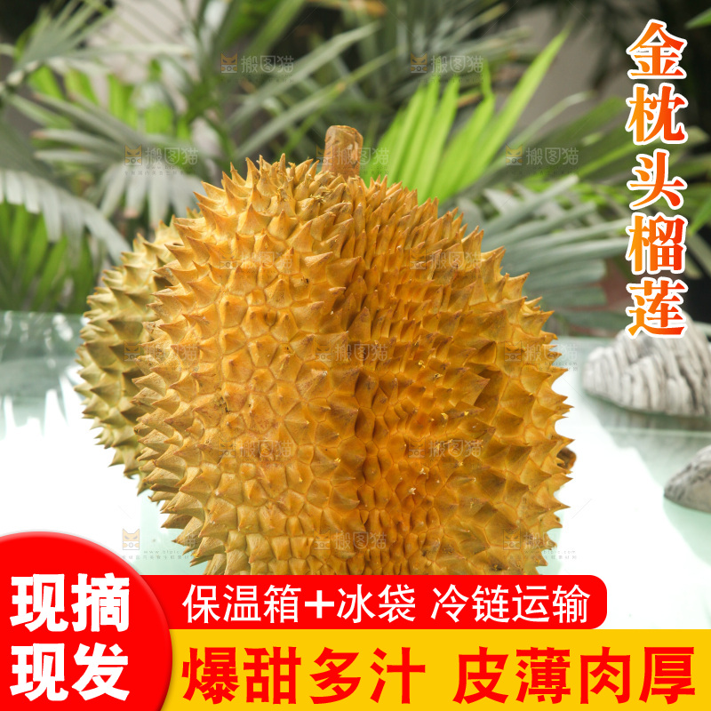 金枕榴莲