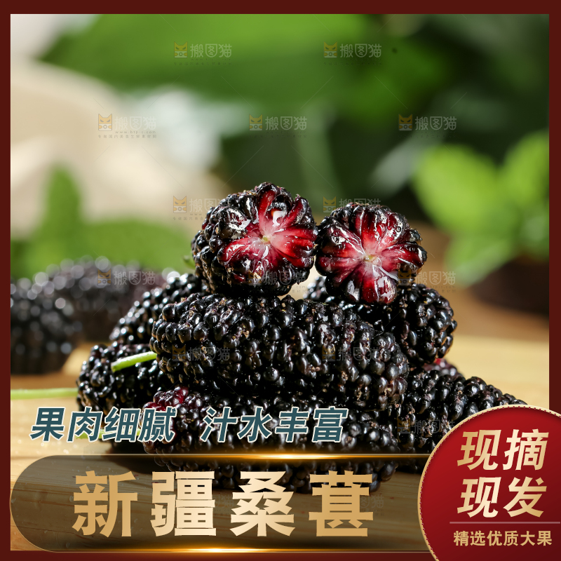 桑葚