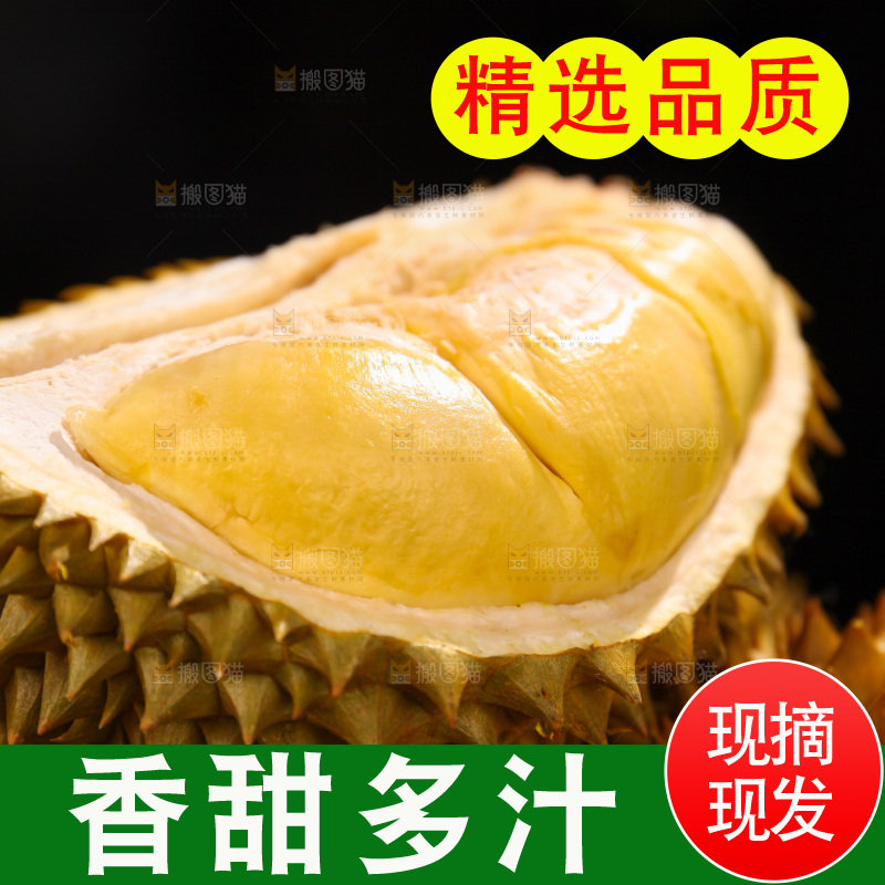 金枕榴莲
