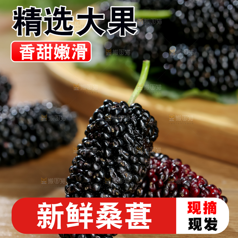 桑葚