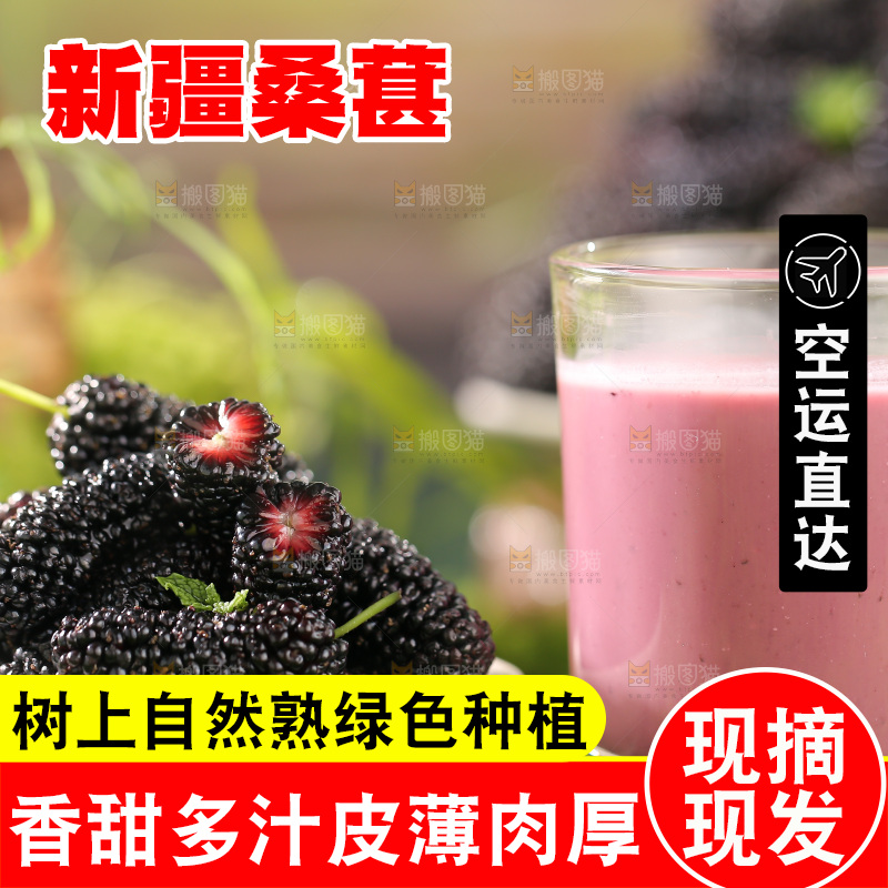 桑葚