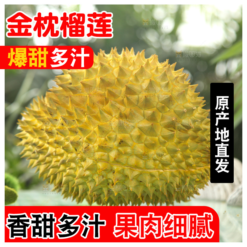 金枕榴莲