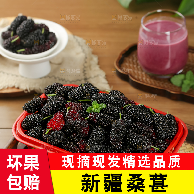 桑葚