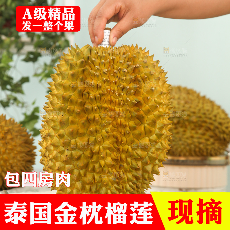 金枕榴莲