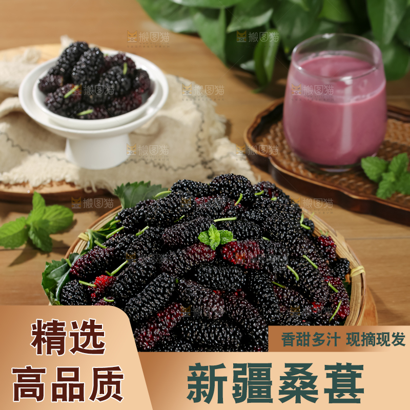 桑葚