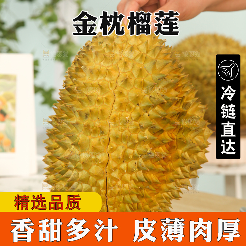 金枕榴莲