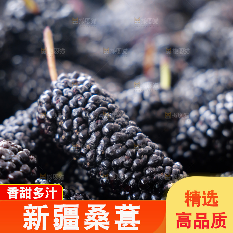 桑葚