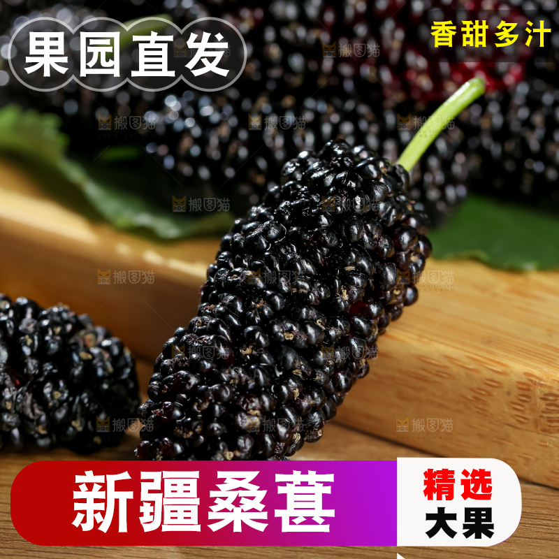 桑葚
