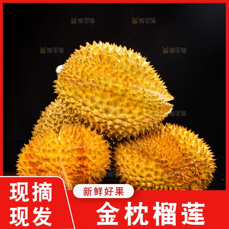 金枕榴莲