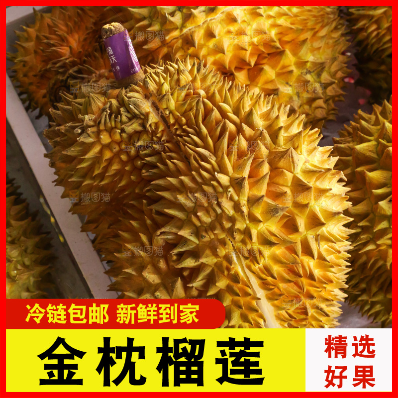 金枕榴莲