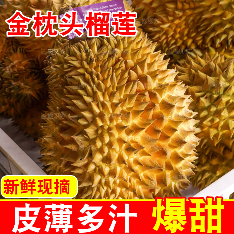 金枕榴莲