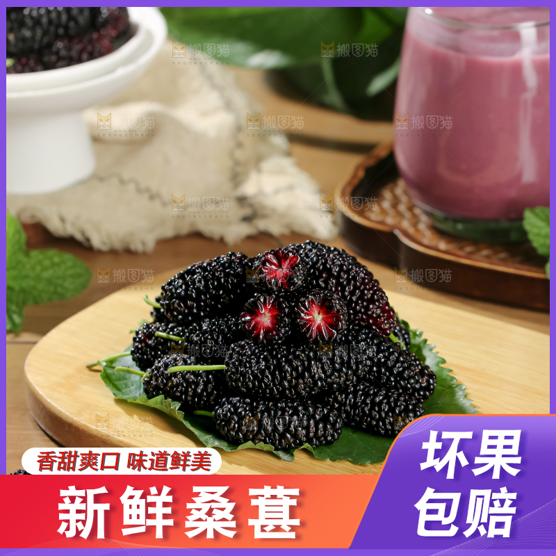 桑葚