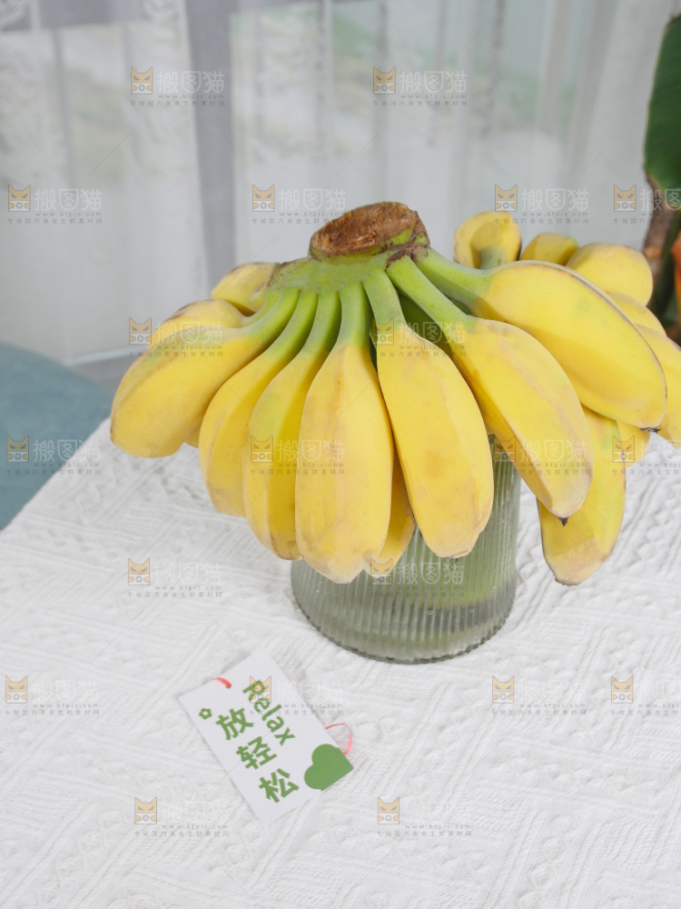 水培香蕉