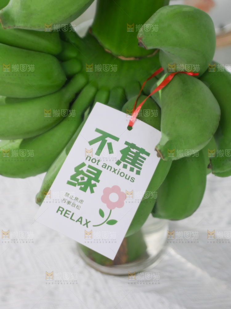 水培香蕉