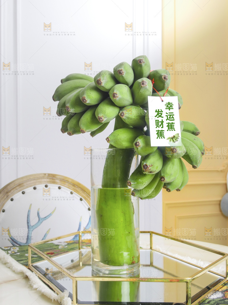 水培香蕉