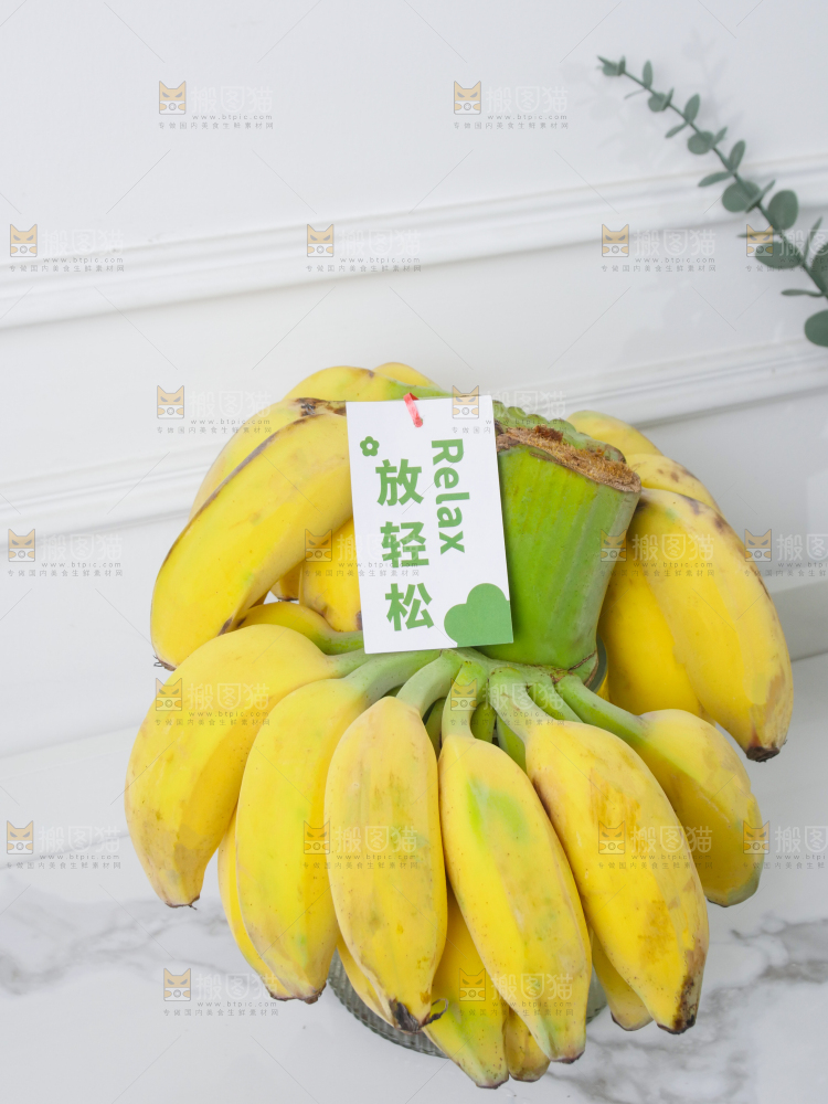 水培香蕉