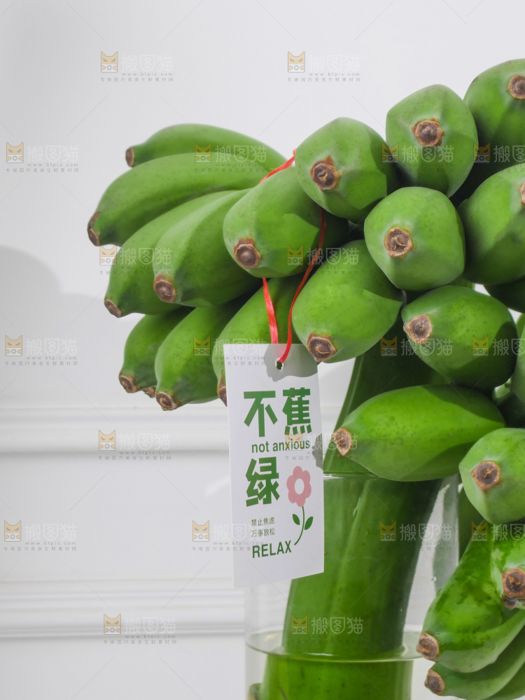 水培香蕉