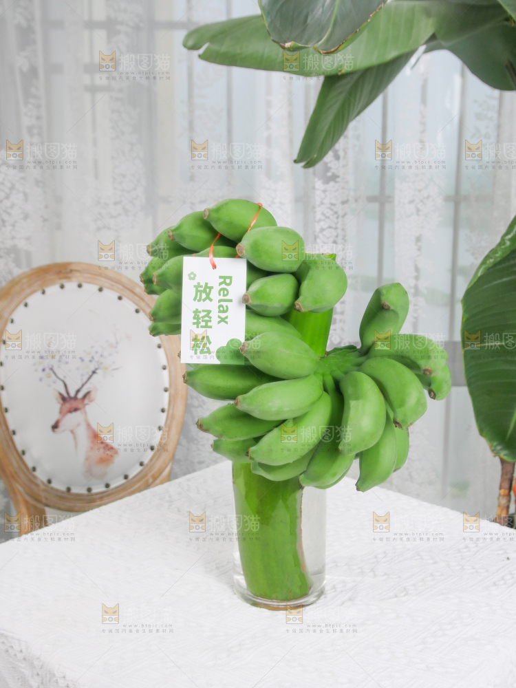 水培香蕉
