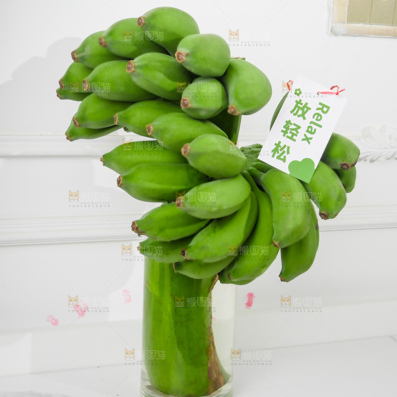 水培香蕉