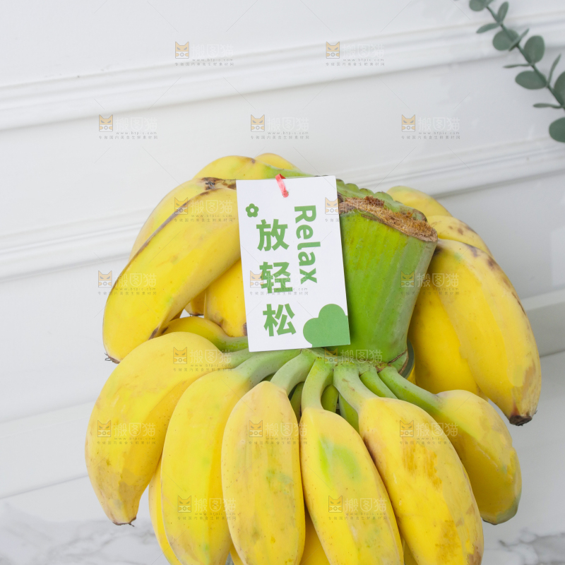 水培香蕉
