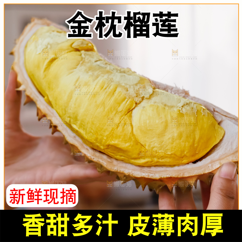 金枕榴莲