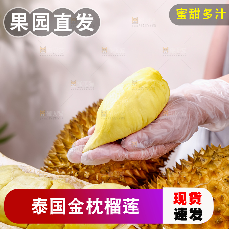 金枕榴莲