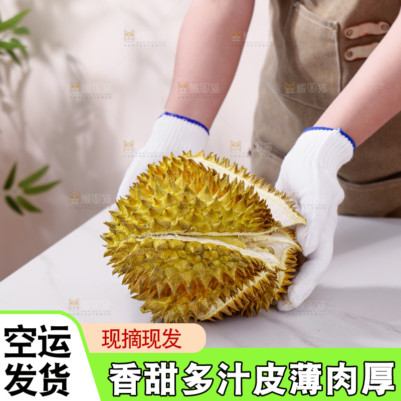 金枕榴莲