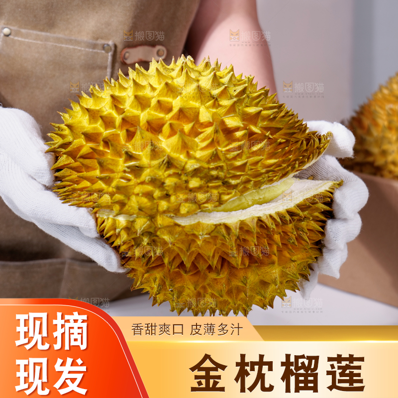 金枕榴莲